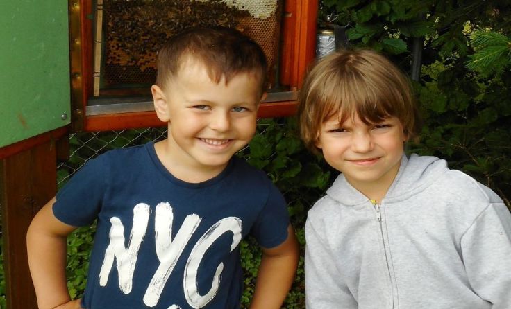 Der Schaubienenstock sorgte für großes Interesse. Foto: Kindergarten
