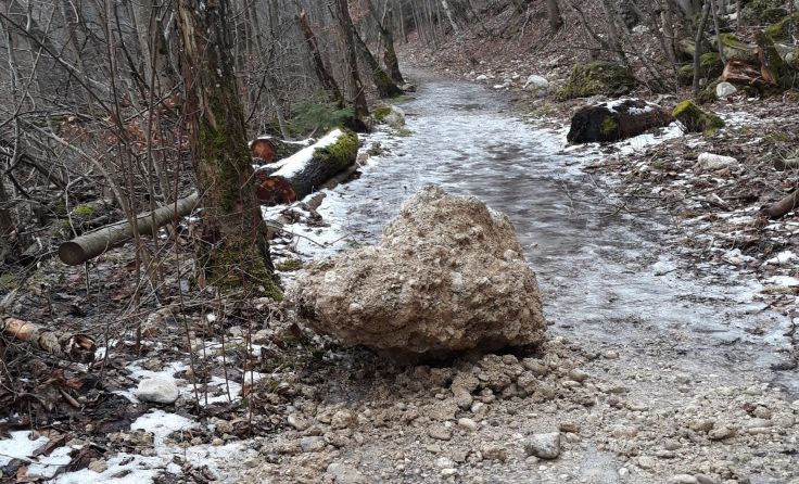 Foto: Petautschnig