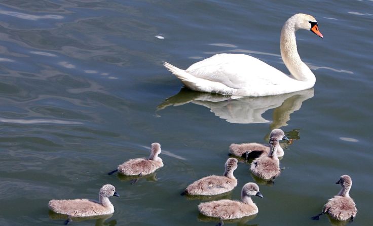 Foto: Weihbold