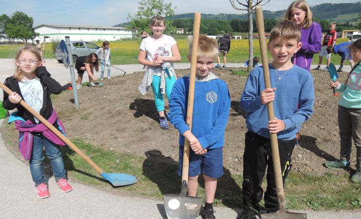 Volksschüler machten die Verkehrsinsel zur „Nützlingsweide“. Foto: VS