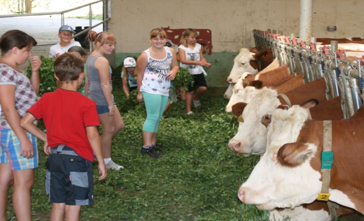 Bauernhof "hautnah" Foto: Mitterlehner