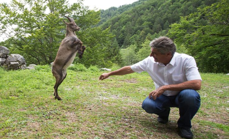 Springlebendige "Alexa" mit ihrem neuen Paten Herwig Mahr Foto: FP OÖ 