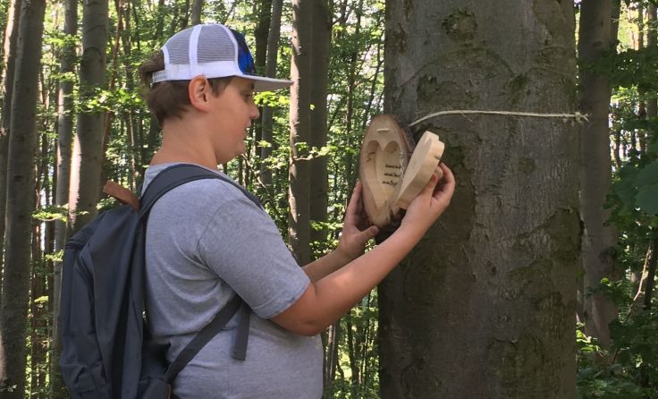 Liebevoll gestaltete Herzen aus Holz schmücken den Wanderweg. Foto: NMS Traundorf