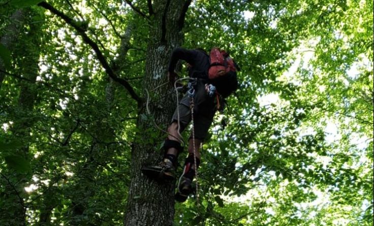 Bergung des verirrten Stubentigers Foto: privat