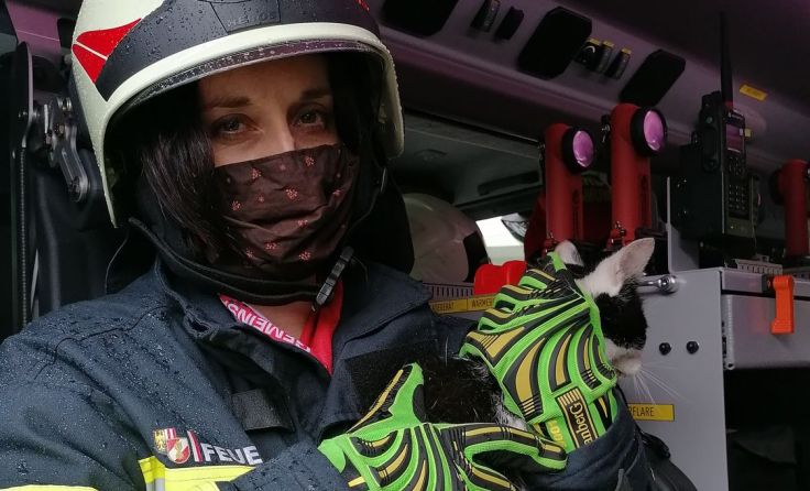 Die FF befreite eine Katze. Foto: FF Gmunden