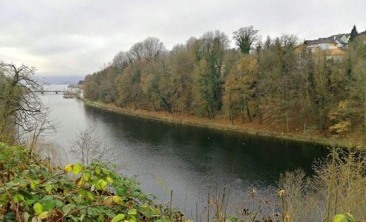 Ein Teil der Traunpromenade mit dem darüber liegenden Wald. Foto: Stadtgemeinde Gmunden