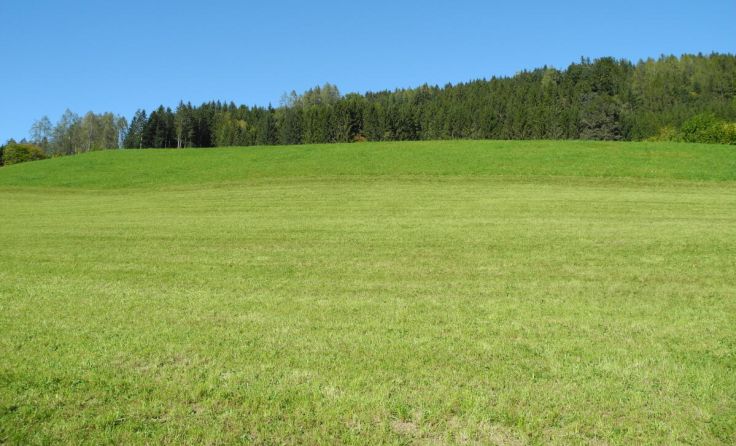 Das betroffene Gebiet (Foto: Moser (Archiv))