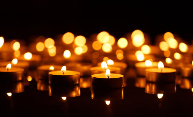 (Foto: Vladyslav Starozhylov/Shutterstock.com)
