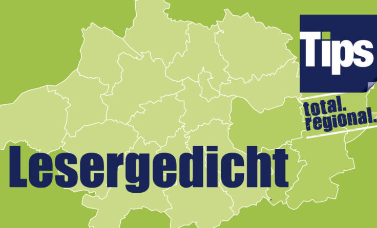  (Foto: Grafik: Tips)