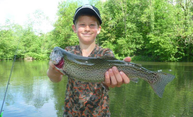  (Foto: Fischereirevier Obere Traun Lambach)