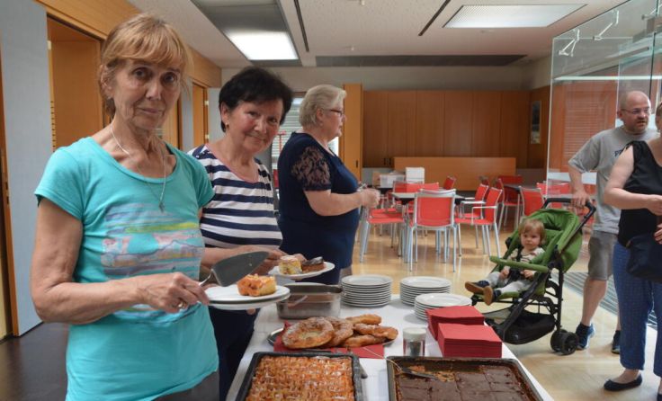  (Foto: Stadtgemeinde Laakirchen)