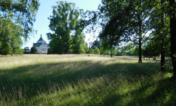 (Foto: Stadtgemeinde Gmunden,)