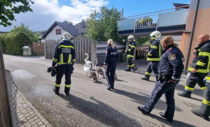  (Foto: FF Laakirchen)