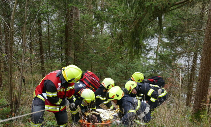  (Foto: © FF Roitham)