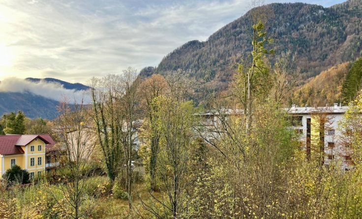 Wertvolle Grünflächen in der Dumbastraße drohen zu verschwinden. (Foto: privat)