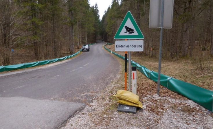  (Foto: privat)