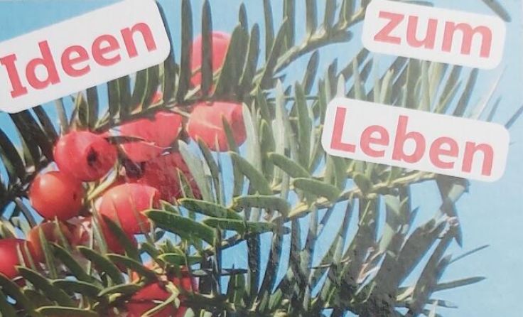 Günter Ungar hat ein weiteres Buch seiner "Lichtblicke"-Reihe veröffentlicht. (Foto: Ungar)