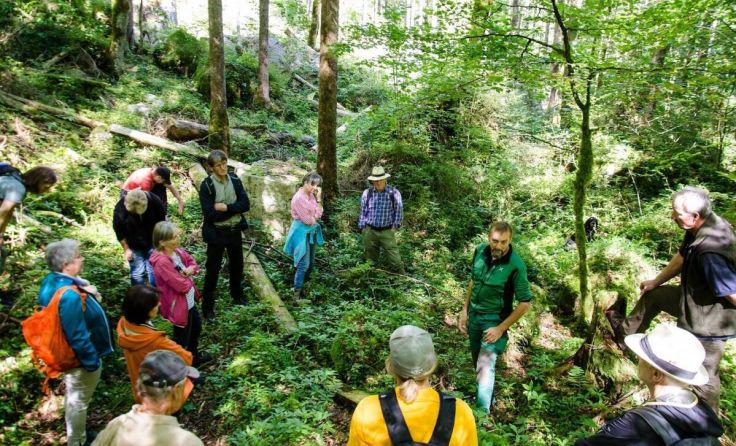 Informative Waldführungen (Foto: David Christian Nöst / ÖBf-Archiv)