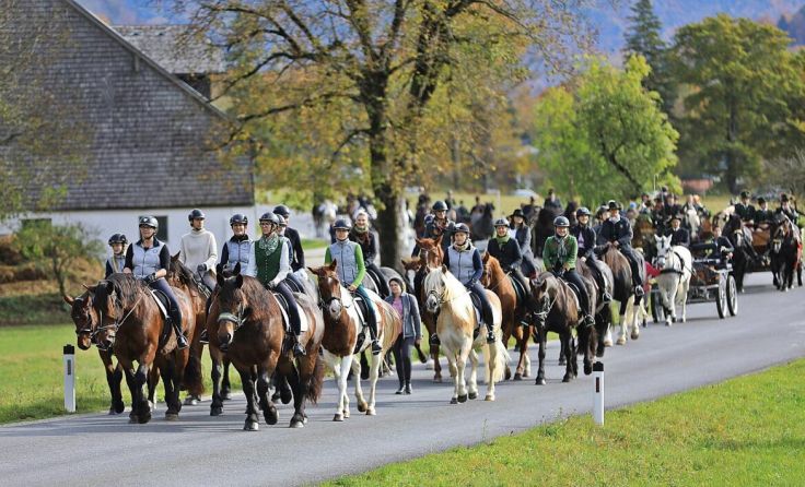 Leonhardiritt in Bad Ischl (Foto: Hörmandinger)