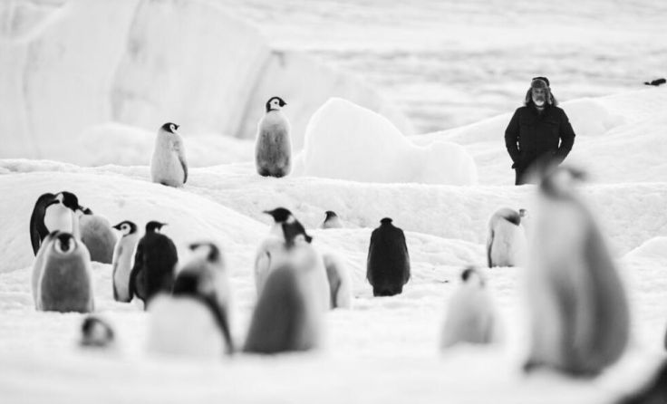 Filmstill "Rückkehr zum Land der Pinguine" (Foto: Filmladen)