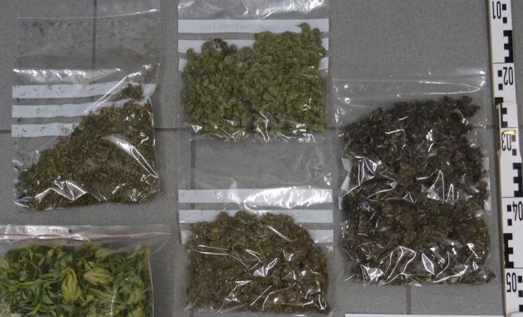 Suchtmittel im Wert von 900.00 Euro konnten sichergestellt werden. Fotos: LPD NÖ