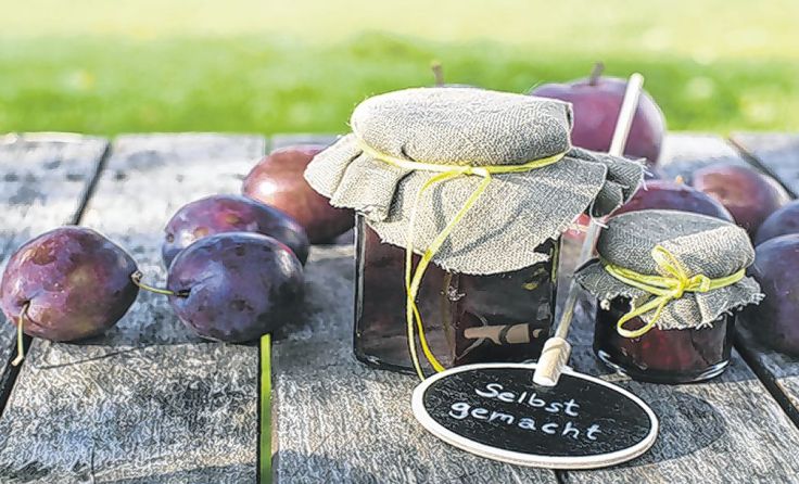 Die süße Frucht wird am 9. September in den Mittelpunkt gerückt. Foto: www.zwetschkenkirtag.at