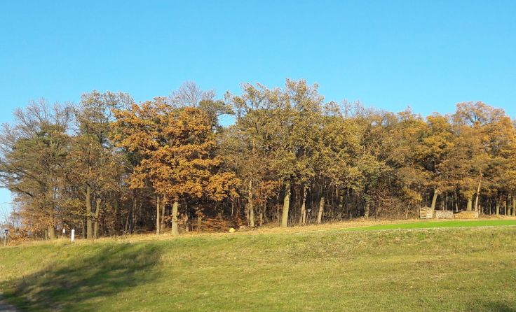 Im südlichen Waldviertel