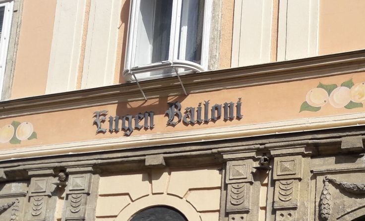 Firma Bailoni