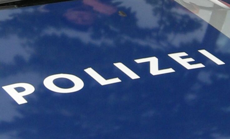 Der Gesamtschaden beläuft sich auf rund 240.000 Euro. Foto: LPD NÖ