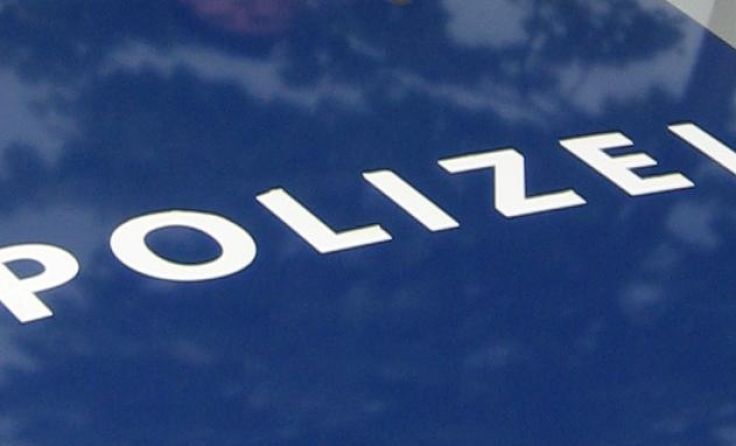 Die Polizei hat eine Serie an Einschleichdiebstählen geklärt. Foto: LPD NÖ