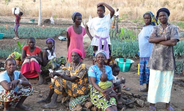 Gemeinschaftlicher Gemüsegarten in Goumon im östlichen Senegal.