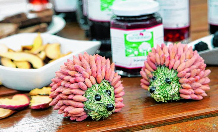 Vielfältiges Angebot bei den Pielachtaler Künstlertagen Foto: weinfranz.at