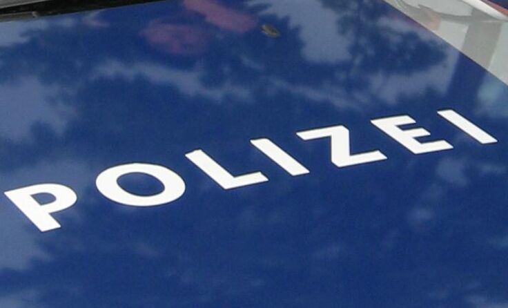 Die mutmaßlichen Vandalen zeigen sich laut Polizei zum Teil geständig. Foto: LPD NÖ