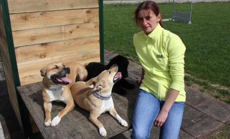 Tamara Leitner löst Differenzen zwischen Zwei- und Vierbeinern. Foto: zVg