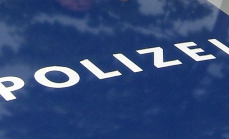 Insgesamt beging der Lenker des Klein-Lkw 23 Verwaltungsübertretungen. Foto: LPD NÖ