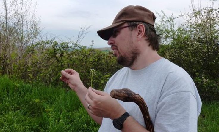 Markus Dürnberger lädt an Wildkräutern Interessierte zu einer Wanderung ein. Foto: zVg