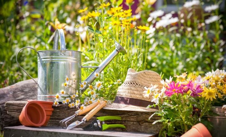 Experten geben Tipps für das „grüne Wohnzimmer“. Foto: Alexander Raths/Shutterstock.com