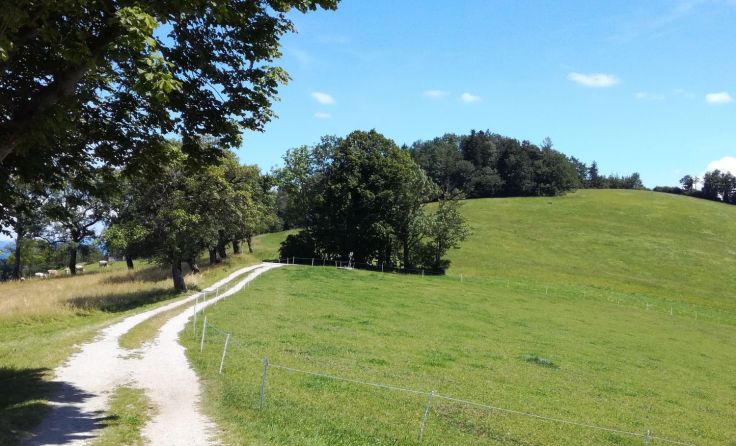 Die Trauerwanderung findet in St. Michael/Bruckbach statt. Foto: Caritas