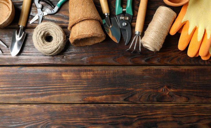 Bereits jetzt sollte man seine Gartenutensilien sichten. Foto: AtlasStudio/Shutterstock.com