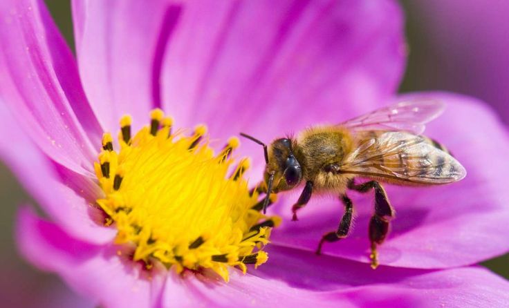 Foto: Jack Hong/Shutterstock.com