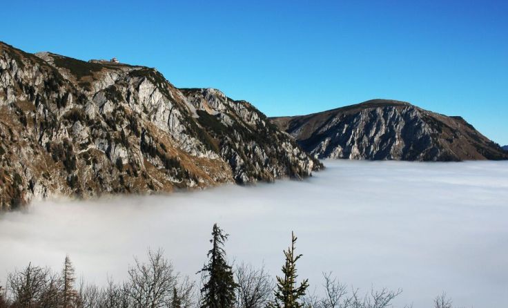 Josef Hochstöger präsentiert beeindruckende Naturaufnahmen. (Foto: Hochstöger)