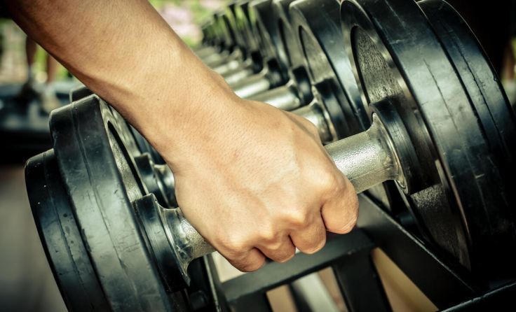 Ran an die Hanteln und los geht‘s! (Foto: PhilipYb Studio/Shutterstock.com)