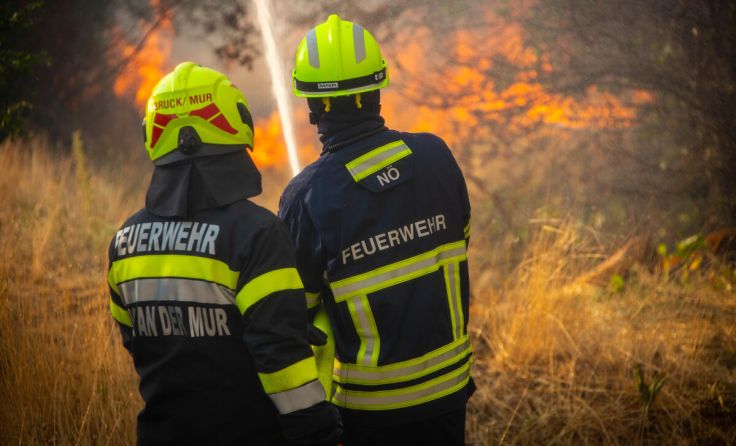Waldbrandarbeiten (Foto: Bfkdo Amstetten / Matthias Fischer)
