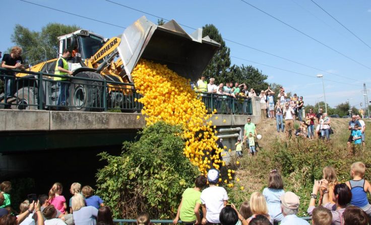 Die Spannung steigt beim Start der Renn-Enten im Mühlbach. (Foto: RT 48 Amstetten)