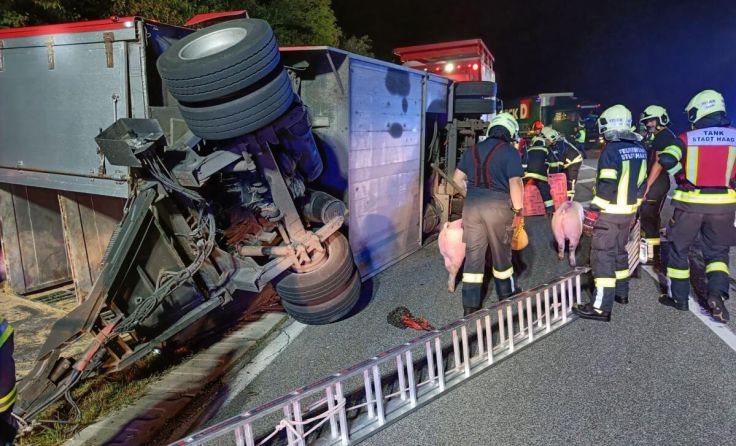 (Foto: Freiwillige Feuerwehr Haindorf und Freiwillige Feuerwehr Stadt Haag)