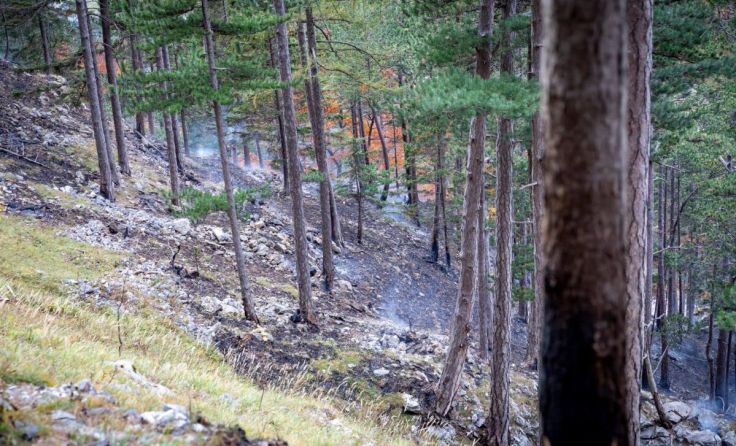 Brandeinsatz (Foto: Bfkdo/Zarl)
