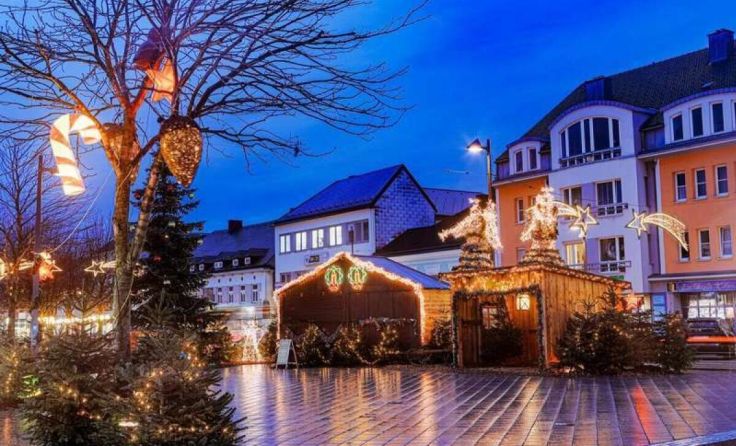 Der Amstettner Weihnachtswald (Foto: Doris Schwarz-König)