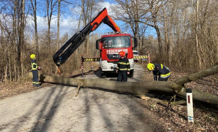 Die Feuerwehr bei einem Sturm-Einsatz (Foto: Wolfgang Zarl)