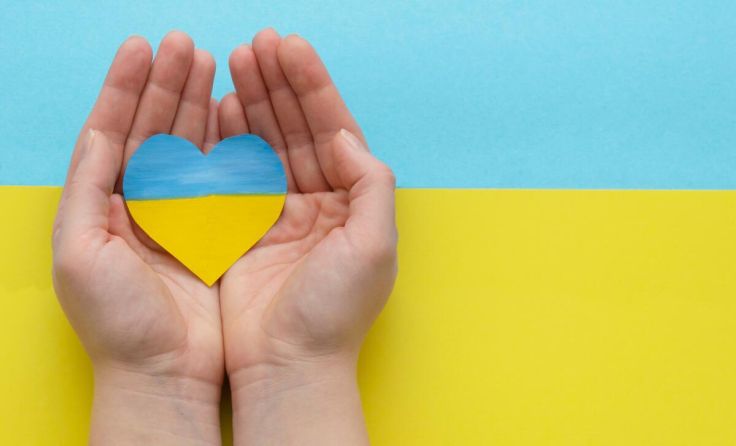 Hilfe für die Ukraine - auch im Mostviertel (Foto: Inna Novogel/Shutterstock.com)