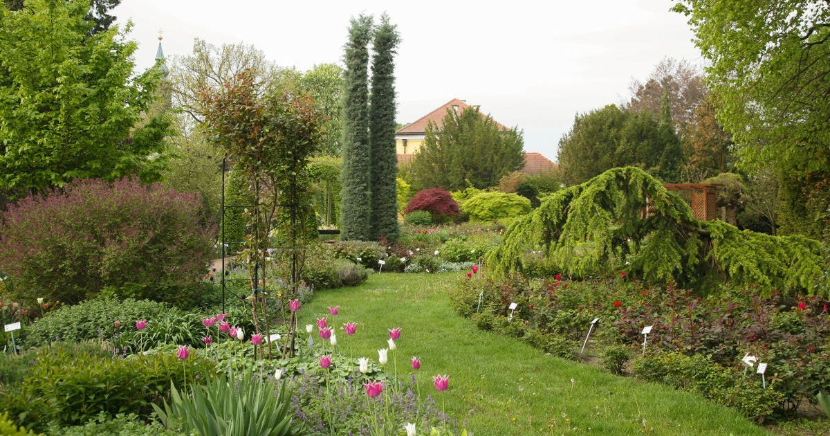 93 „Natur im Garten“ Schaugärten laden zum Besuch ein